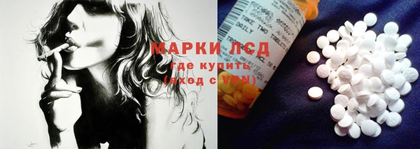 прущий лед Горняк