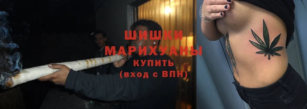apvp Горно-Алтайск