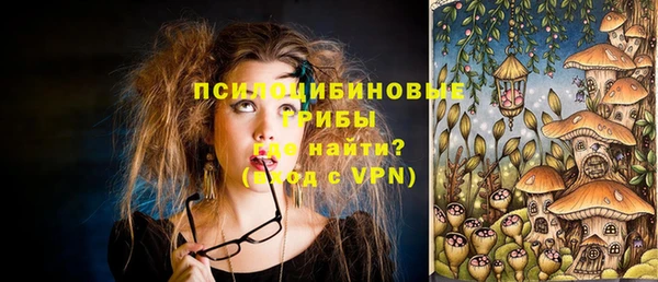 прущий лед Горняк