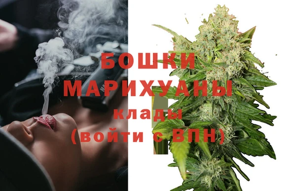 сатива Магас