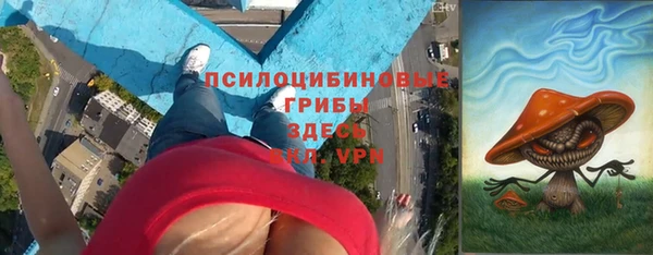 прущий лед Горняк