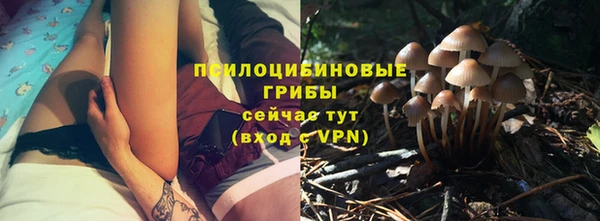 прущий лед Горняк