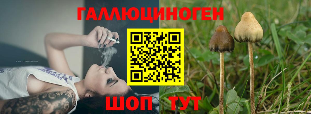 Джанкой  Псилоцибиновые грибы GOLDEN TEACHER  Галлюциногенные грибы Magic Shrooms  Вход с VPN 